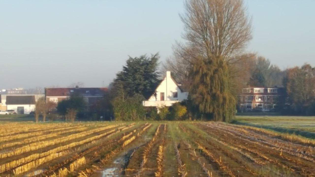 Bed and Breakfast De Gaanderij à Barendrecht Extérieur photo